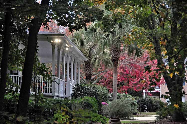 house porch and  foliage
